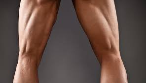 how to develop muscular legs with