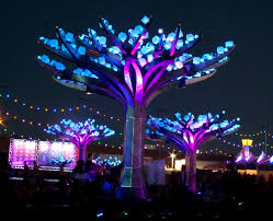 Conservatory of flowers light show. Entwined At Golden Gate Park In San Francisco January 5 2021 Sf Station