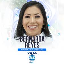 Acción Nacional San Luis