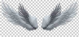 Drawing Photography Picsart Photo Studio Png Angel Wing Art Beak Black And White Desktop Wallpap Angel Wings Drawing Drawings Photography Wings Wallpaper