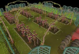One cactus can produce a minimum of 3 spines per harvest, where the can you harvest cactus spines? Special Patches Osrs Wiki
