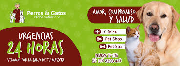 Perros Gatos Veterinaria Pet-Shop