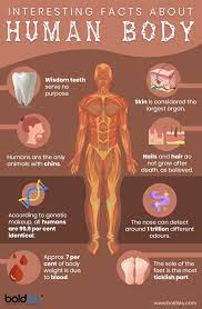 This applies to exterior surface, as it covers the body, appearing to have the largest surface area of all the organs. 100 Gk Questions And Answers Quiz About Human Body Trivia Trivia Qq