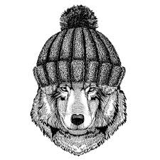 Maybe you would like to learn more about one of these? Wolf Dog Cool Animal Wearing Knitted Winter Hat Warm Headdress Beanie Christmas Cap For Tattoo T Shirt Emblem Badge Stock Vector Illustration Of Drawing Logo 115301066