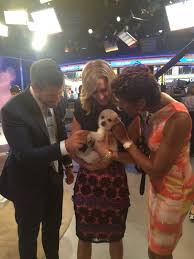 Lara Spencer On Twitter Abc Good Morning America Luke And Laura Good Morning America