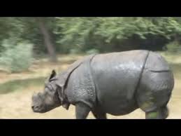 Just remember, the more you use the throttle, the fewer miles you'll get on a single battery charge. Rhino Running Youtube