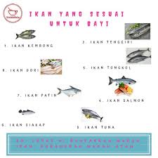 Menu ikan patin tambah ikan keli: Jenis Ikan Boleh Bagi Baby Little Cup Baby Food Cafe Facebook