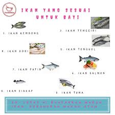 Tempoyak durian dapat dimasak bareng ikan patin. Jenis Ikan Boleh Bagi Baby Little Cup Baby Food Cafe Facebook