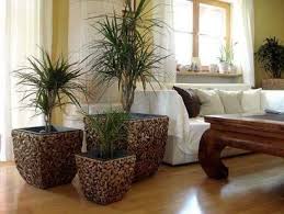 Casa Mina 3er Set Wasserhyazinthe Blumenkubel Ubertopfe Pflanzkubel Blumentopf Madras Wwb Braun 50 40 30cm H Wohnzimmer Ideen Gemutlich Blumenkubel Pflanzkubel