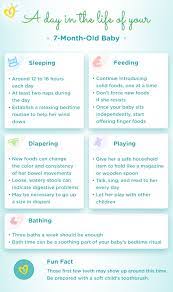Baby is asleep and does not wake up at night. 7 Month Old Baby Development Milestones Pampers