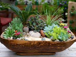 Decorating your house with furniture is surely a common thing. Succulent Garden Ideas For All Spaces Succulents Indoor Succulent Garden Diy Succulent Garden Indoor