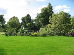 Pour Sa Reouverture L Entree Au Jardin D Acclimatation De Paris Est Gratuite Actu Paris