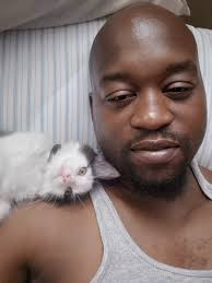 Cats Begging for Human Food