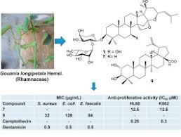 Image result for Gouania longispicata