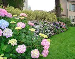 Check spelling or type a new query. 35 Best Flower Bed Ideas 2021 Designs Decorations