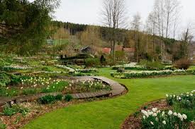 Berchigranges La Plus Grande Collection De Narcisses D Europe Narcisse Jardins Parcs
