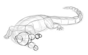 How To Draw Animals Crocodiles Alligators Caimans And Gharials Animal Drawings Crocodile Illustration Face Drawing