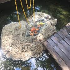 Kolam air panas menjadi tarikan orang ramai pada setiap hujung minggu. Taman Rekreasi Air Panas Trap 3 Conseils De 273 Visiteurs