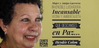 Caimito Echa Pa'lante