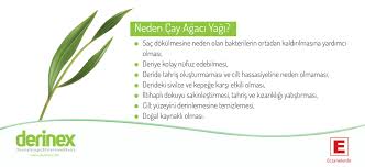 Neden Cay Agaci Yagi Derinex Sampuan Cayagaci Yag Sampuan Dogal