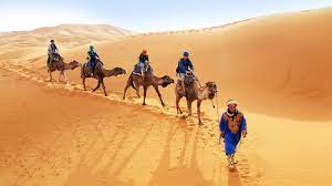 One day trip for camel riding in kubuqi desert. Camel Trips Saharansky