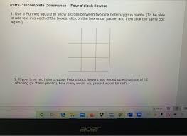 Check spelling or type a new query. Part G Incomplete Dominance Four O Clock Flowers Chegg Com