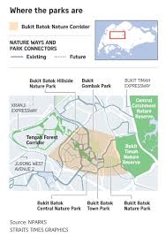 The wallace education centre is singapore's first field study hub for schools, it also contains the wallace environmental learning lab (well) and an interpretive center. Two New Parks In Bukit Batok To Be Part Of Nature Corridor Connecting Central Catchment And Tengah Singapore News Top Stories The Straits Times