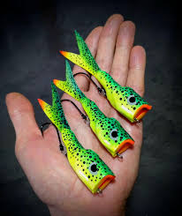 Image result for Turraea fischeri