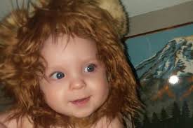 Fundraiser for Danielle Nielsen by Abby Hanson : Leo the Lion