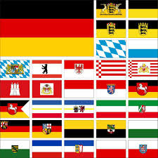 Image result for Glebionis carinata `German Flag`