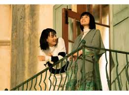 でかいの日記帳 映画 テレビ