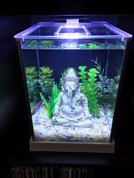 Amazon Com Fluval Spec Iii Aquarium Kit 2 6 Gallon Black Aquarium Starter Kits Cool Fish Tank Decorations Fish Tank Decorations Fish Aquarium Decorations