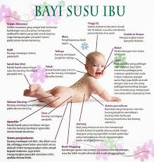 Namun konsultasikan ke dokter anak anda tentang kebutuhan susu yang sesuai dengan. Kisah Susu Ibu Di Dalam Al Quran Penyusuan Bayi Menurut Islam