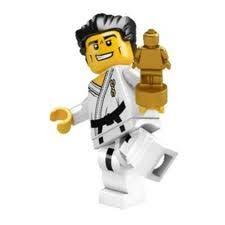 Lego Martial Arts Champion Lego Lego Minifigures Mini Figures