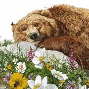 She creates paintings of the american west that feature themes of n. Bev Doolittle Complete Art Collection