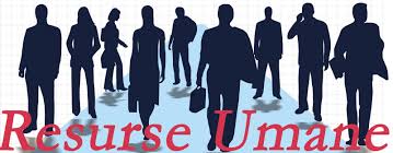 4021 255 64 06 email. Resurse Umane Imsp Amt Botanica