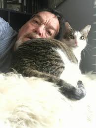 Missing Cat in West Wolf Valley Area near Clinton TN