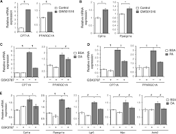The thyroid cancer awareness ribbon represents the three thyroidcancer colors of teal, pink, and blue. Upregulation Of Cpt1a Is Essential For The Tumor Promoting Effect Of Adipocytes In Colon Cancer Cell Death Disease