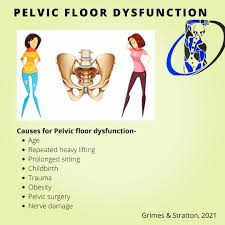 Image result for Pelvic Floor Dysfunction