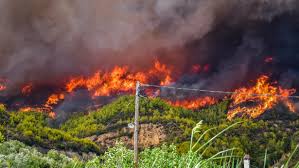 Zowel in het noordoosten van spanje als in het zuidwesten van frankrijk en het westen van sardinië zijn brandweerlieden in de weer om bosbranden te bestrijden. Bosbrand Bedreigt Griekse Olympia Bakermat Olympische Spelen Binnenland Telegraaf Nl