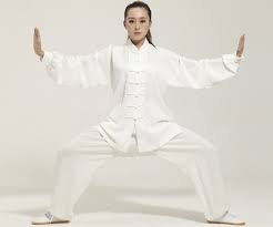 Japanese Cotton Tai Chi Clothing