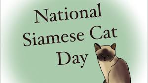 20 hours ago · international cat day 2021 is celebrated on august 8 every year. National Siamese Cat Day 4 6 Youtube