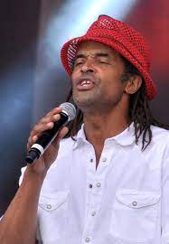 He won the french open in 1983, and is currently the captain of both france's davis cup and fed cup team. Yannick Noah Wikipedia