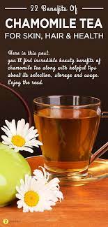 15 Amazing Benefits Of Chamomile Oil For Skin Health And Hair Chamomile Tea Benefits Chamomile Tea Coconut Health Benefits