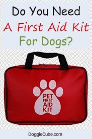 Why You Need A First Aid Kit For Dogs Doggie Cube First Aid Kit Traveling By Yourself Dog Grooming