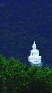 The lam takhong dam (thai: Buddha Statue In Forest Pak Chong Thailand Steemit