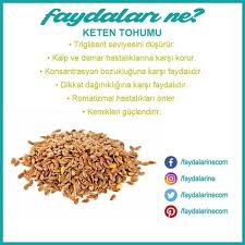 Keten Tohumu Keten Tohumunun Faydalari Faydalari Zararlari Faydalarine Faydalarine Tohum Dogal Dogal Saglik
