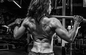 Download bodybuilder 4k hd wallpapers for free to personalize your iphone or android phone. Wallpaper Woman Back Bodybuilding Shoulders Bodybuilder Images For Desktop Section Sport Download