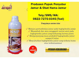 Manjur Telp Sms Wa 0822 7275 0345 Tsel Grosir Murah Pupuk Baglog Jamur Tiram Klaten Yogyakarta Di 2020 Jamur Kesuburan Obat Alami