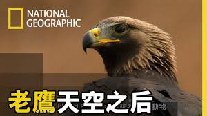 Choose from 500 different sets of flashcards about 汉语教程 on quizlet. å½±ç‰‡ä¸­ä»–å€'çš„å«è²æœ‰çš„æ˜¯æ±‚å¶ æœ‰çš„æ˜¯ä¹žæ±‚é£Ÿç‰© ä½ è½çš„å‡ºä¾†å—Ž è€é·¹ å¤©ç©ºä¹‹åŽ çŸ­ç‰‡ç²¾è¯ç‰ˆ Youtube